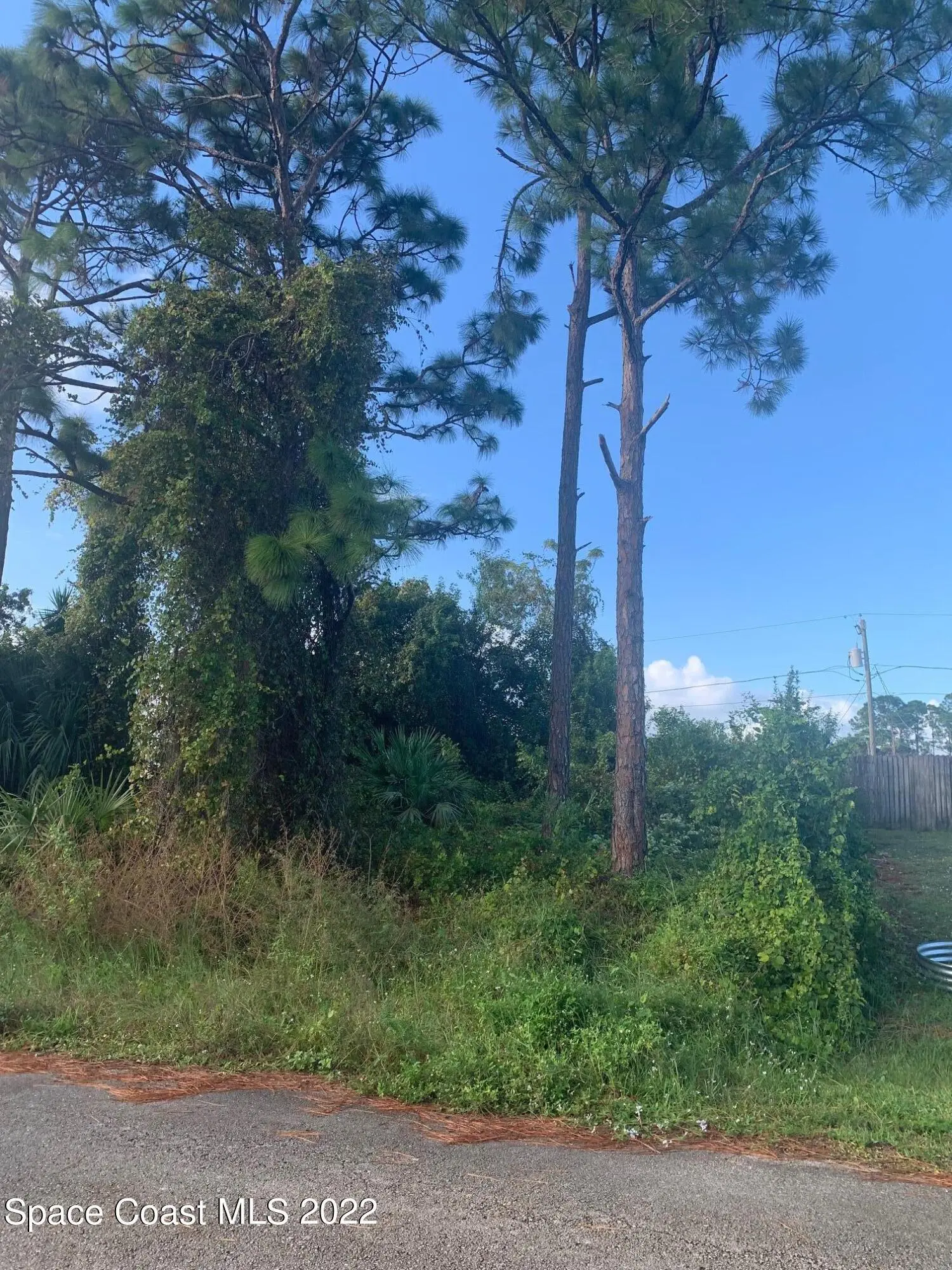 761 Indigo Street Se, Palm Bay, Fl 32909, FL