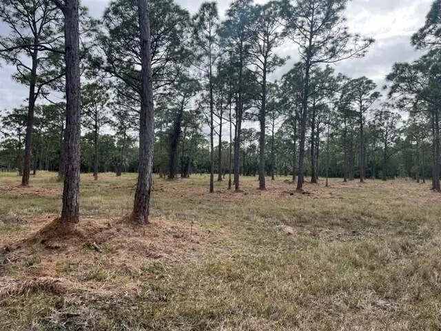 0000 Govan Avenue, Malabar, Fl 32950, FL