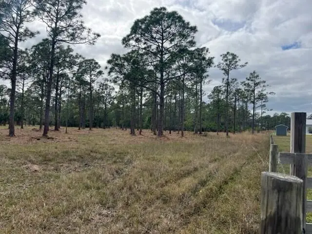 0000 Govan Avenue, Malabar, Fl 32950, FL
