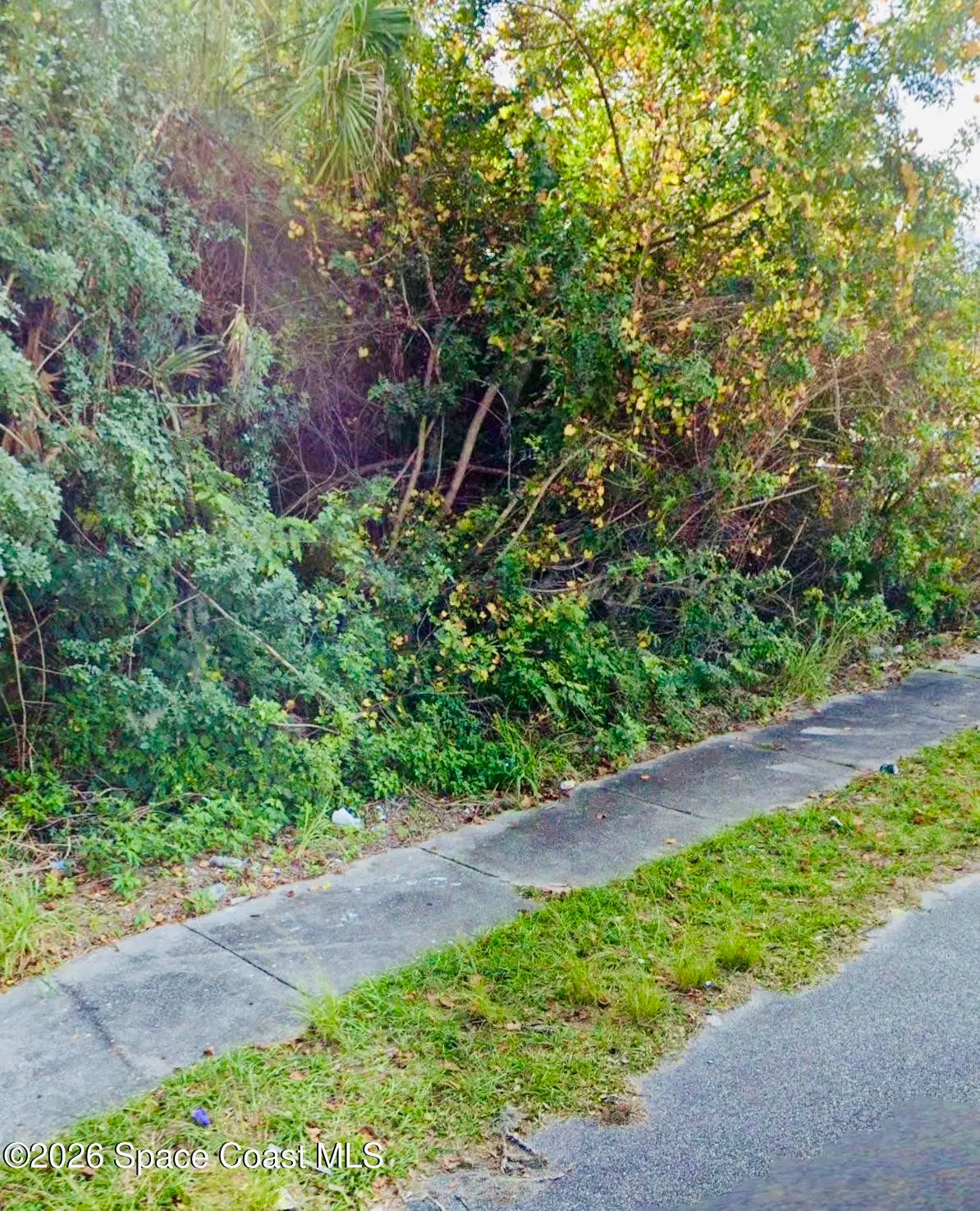 00 Jefferson Street, Mims, Fl 32754, FL