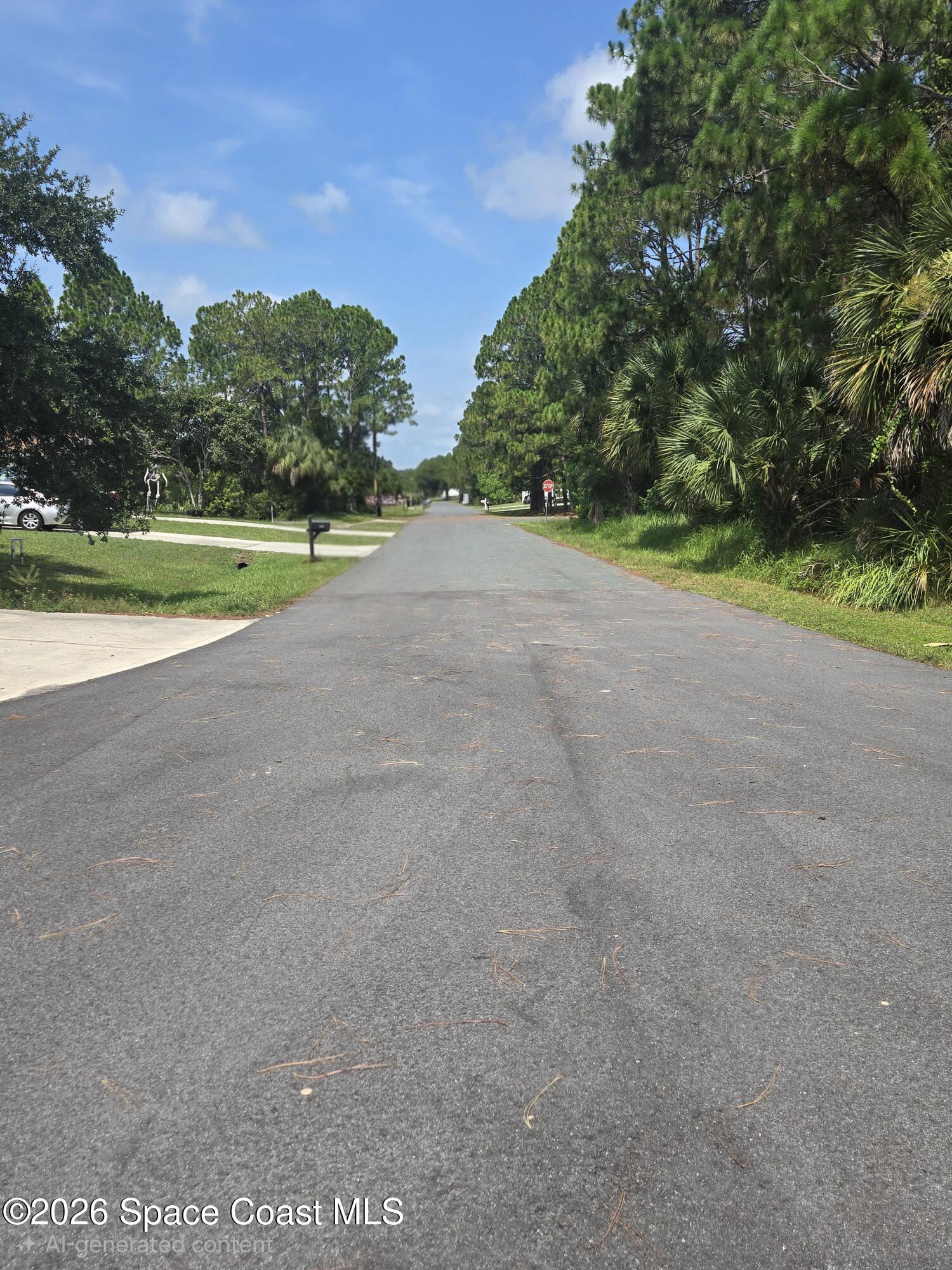 1524 Holbrook Road Nw, Palm Bay, Fl 32907, FL