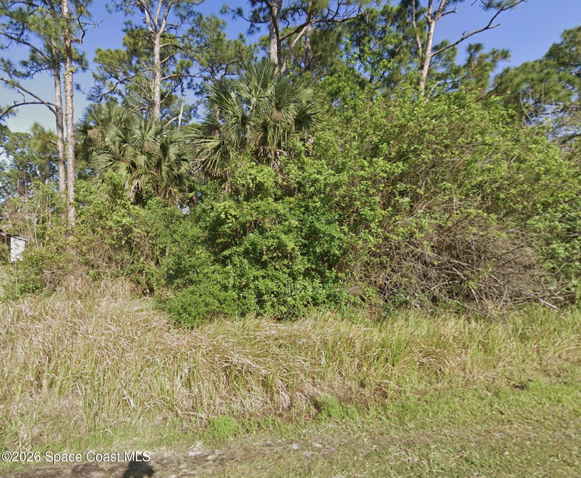 171 Wellsley Avenue Sw, Palm Bay, Fl 32908, FL