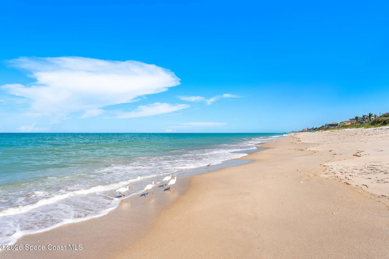 0 Spoonbill Lane, Melbourne Beach, Fl 32951, FL