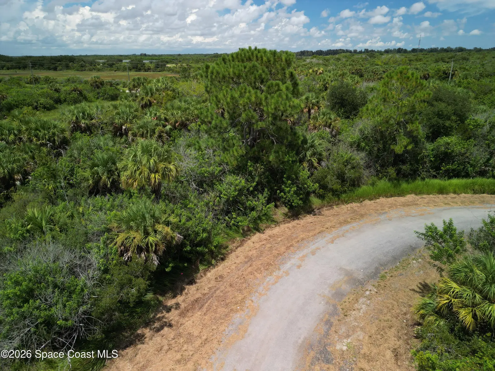 1848 Alwar Avenue Sw, Palm Bay, Fl 32908, FL