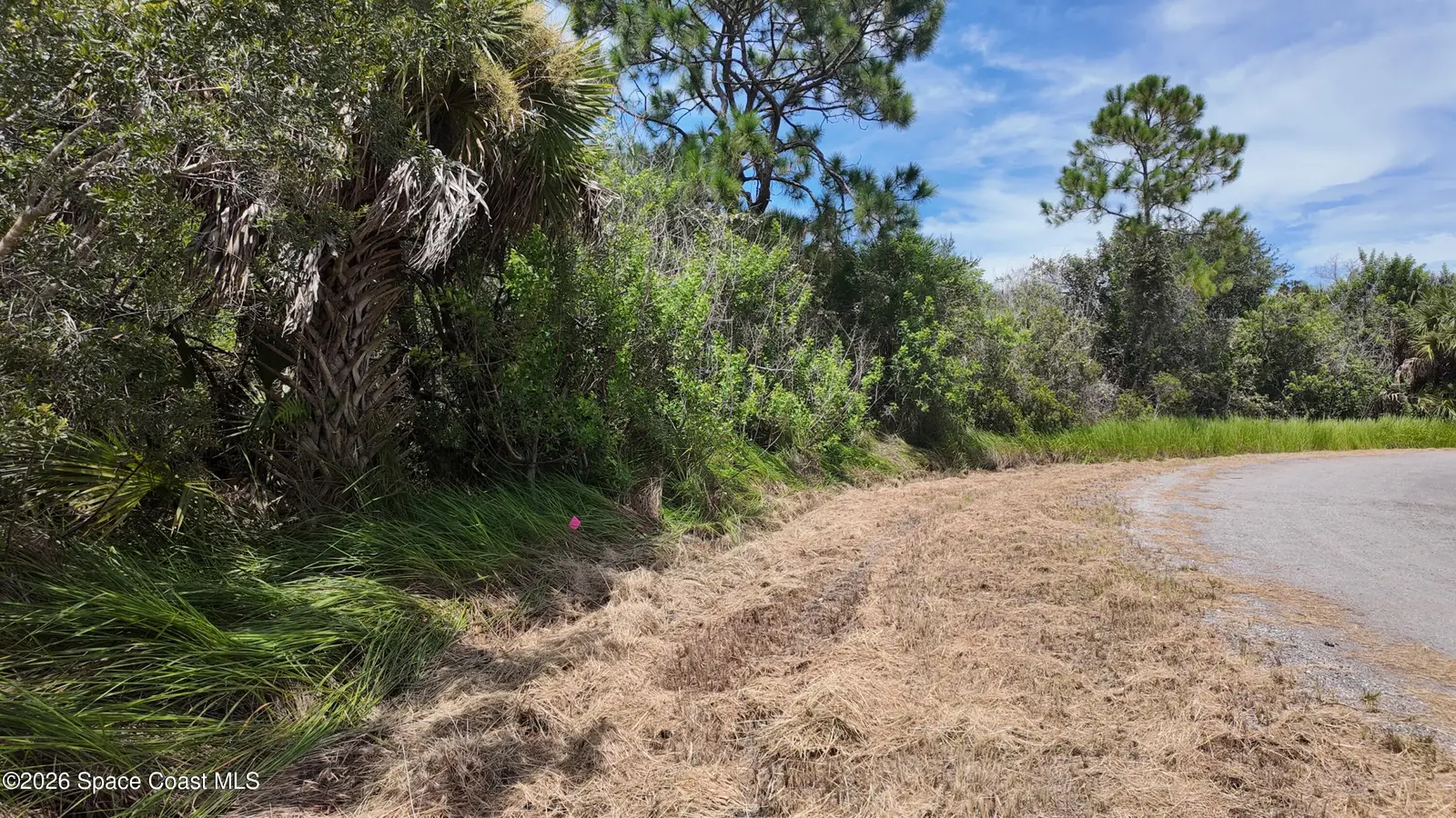 1848 Alwar Avenue Sw, Palm Bay, Fl 32908, FL