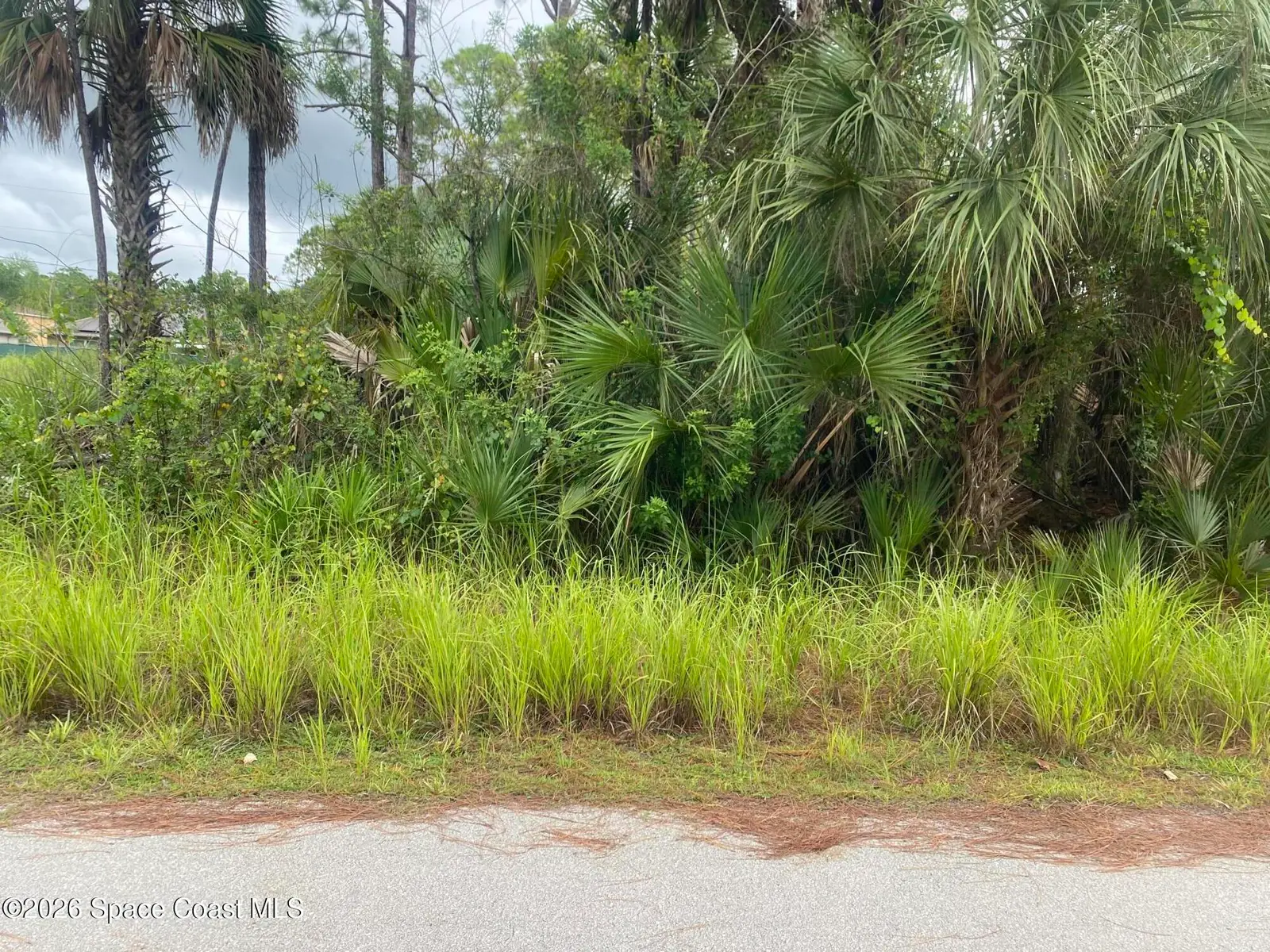 427 Sw Garnet Street Sw, Palm Bay, Fl 32908, FL