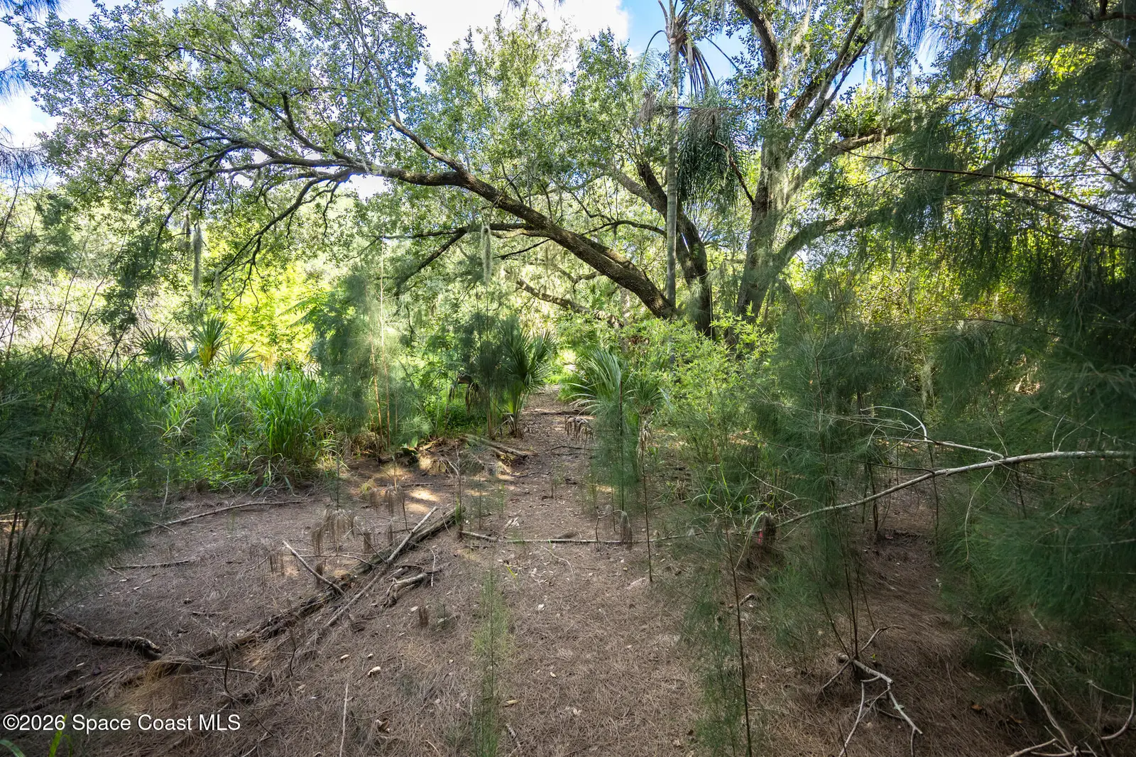 12511 Roseland Road, Sebastian, Fl 32958, FL