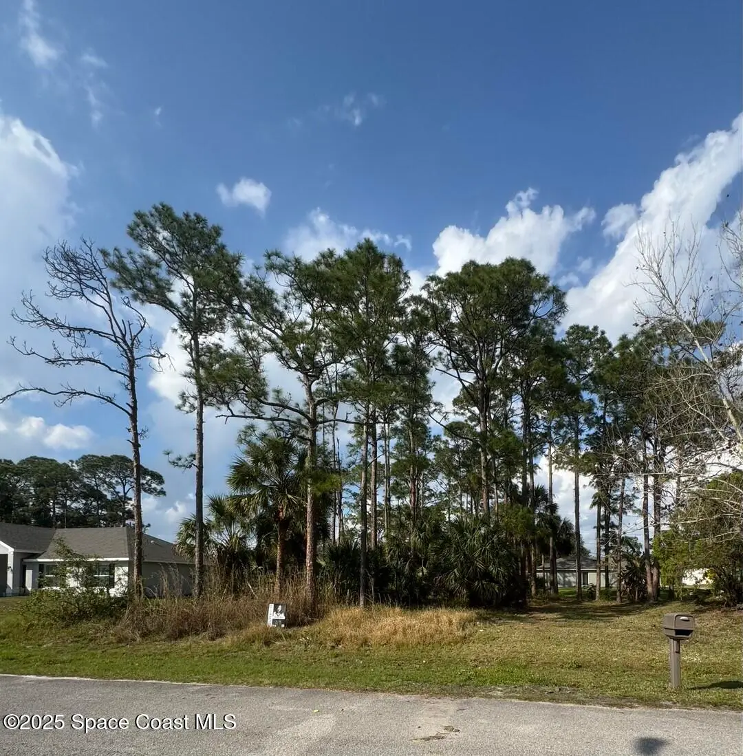443 Wayland Road Sw, Palm Bay, Fl 32908, FL