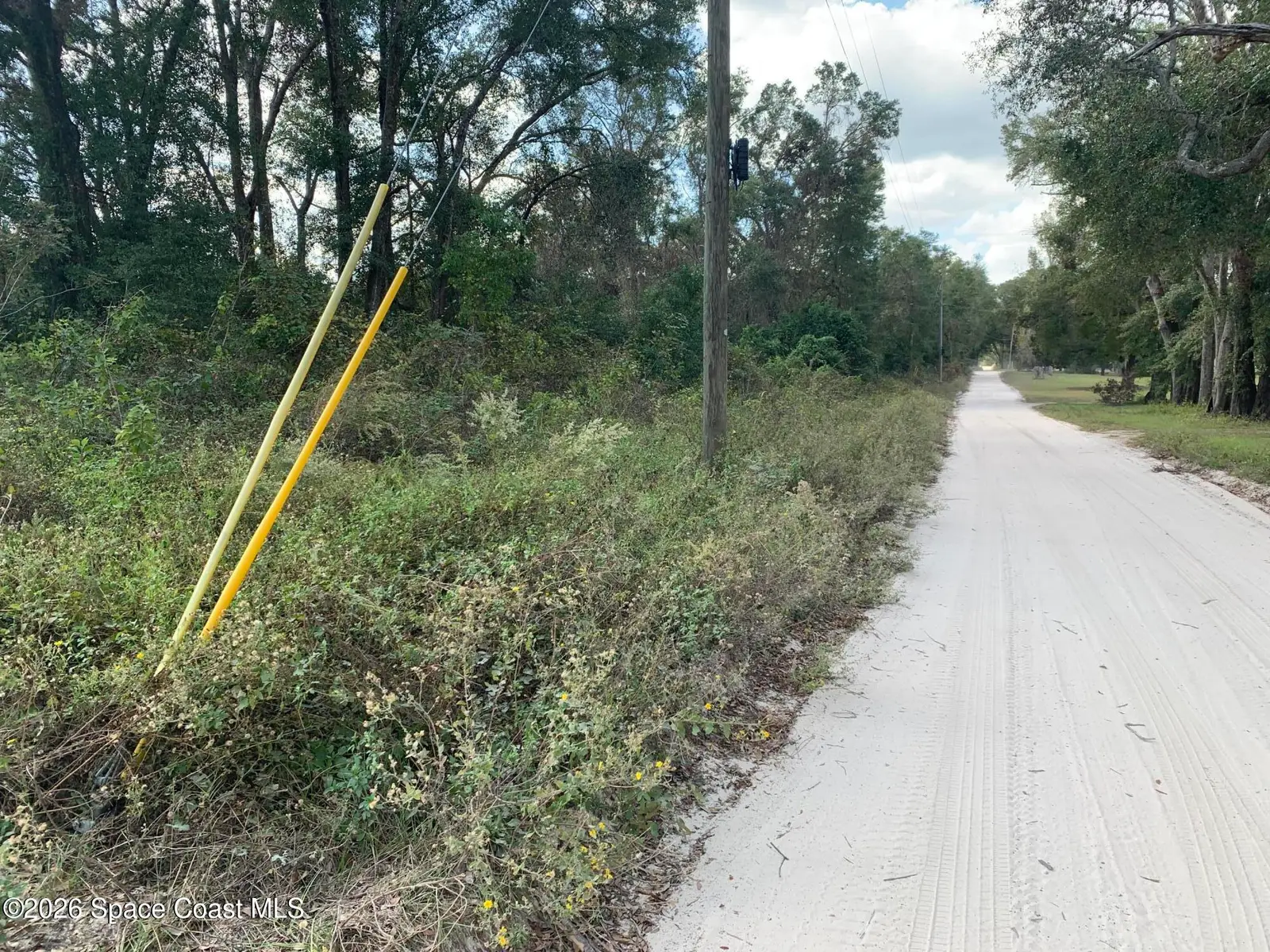 0 Co Rd 337, Bell, Fl 32619, FL