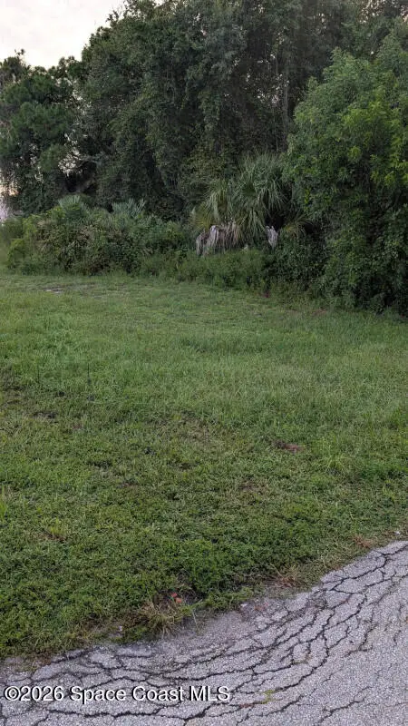 690 Seaport Terrace Se, Palm Bay, Fl 32909, FL