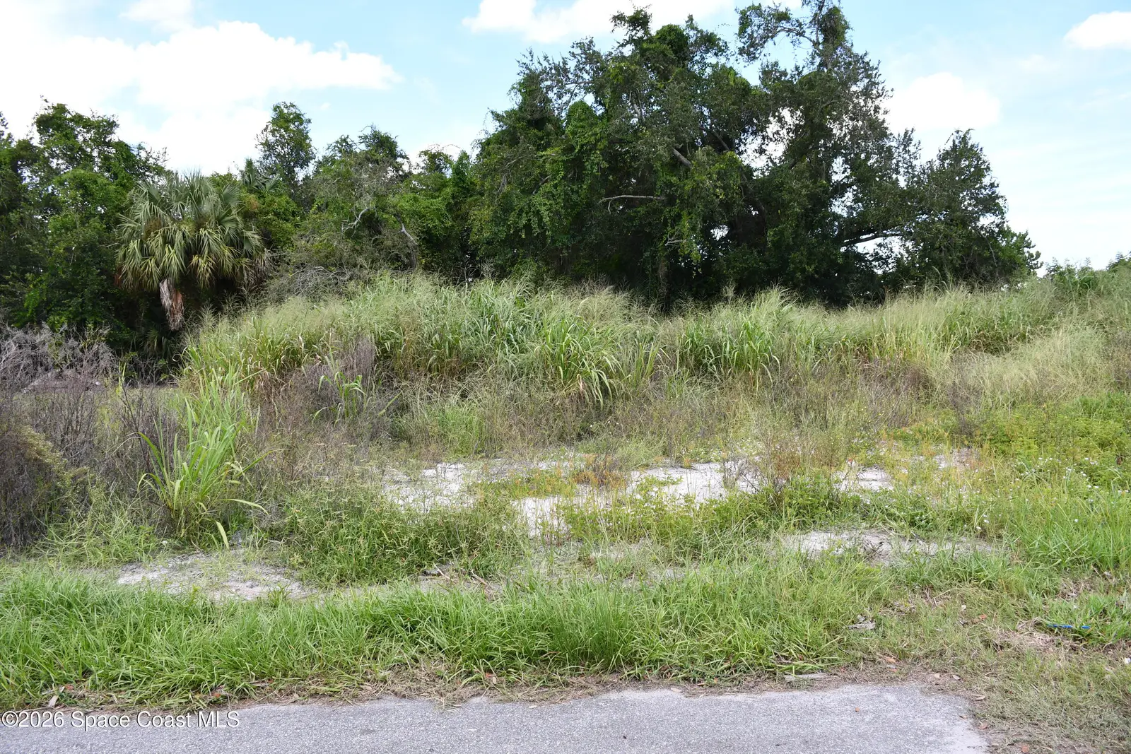 1485 Furnari Street, Cocoa, Fl 32922, FL