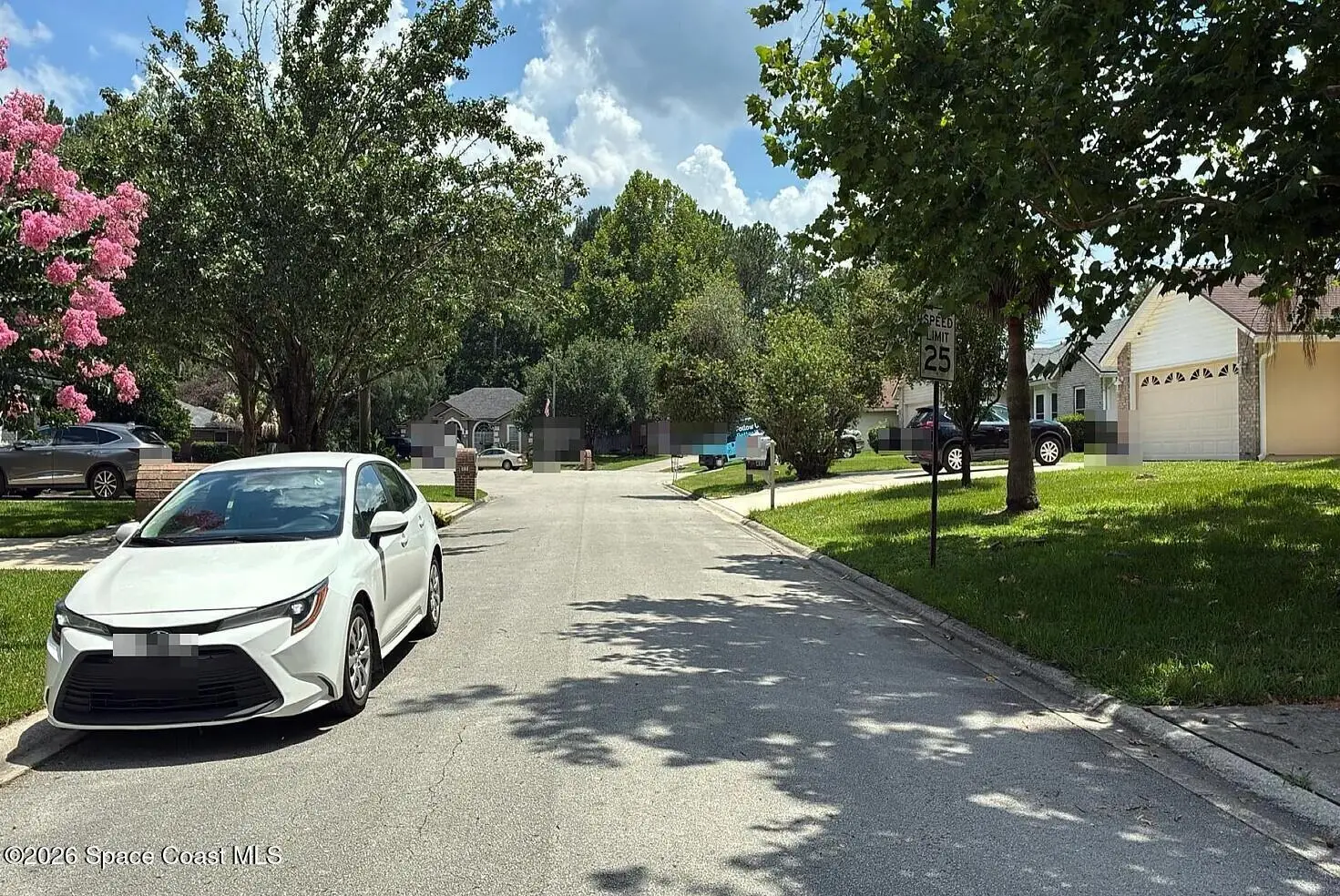 437 Charles Pinckney Street, Orange Park, Fl 32073, FL