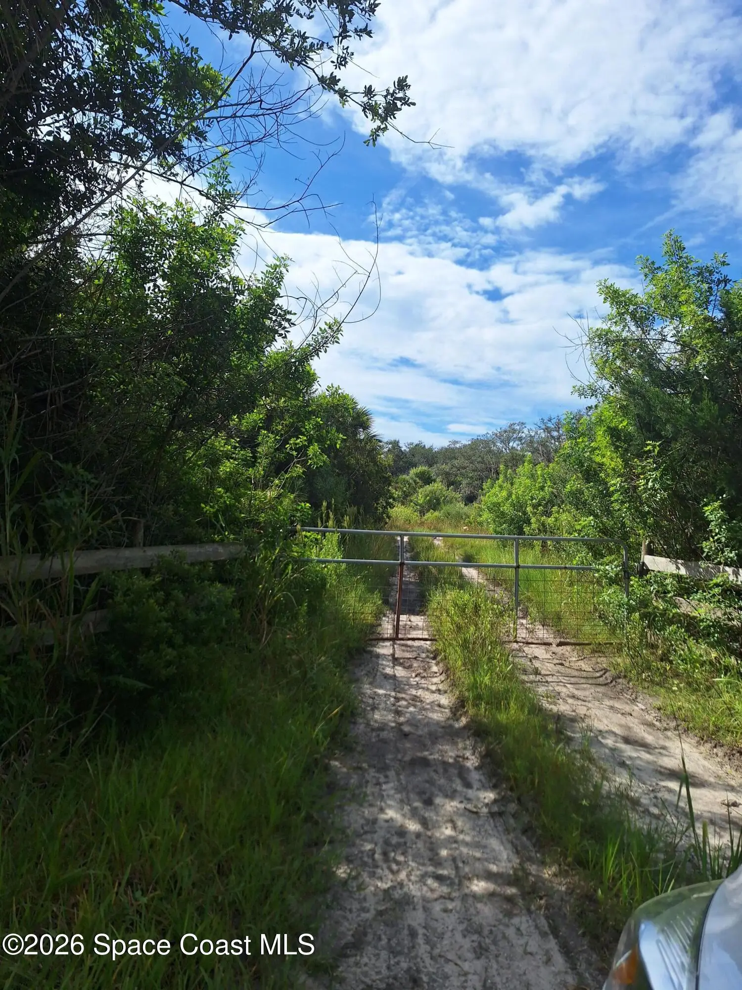 00 Davis Road, Mims, Fl 32754, FL