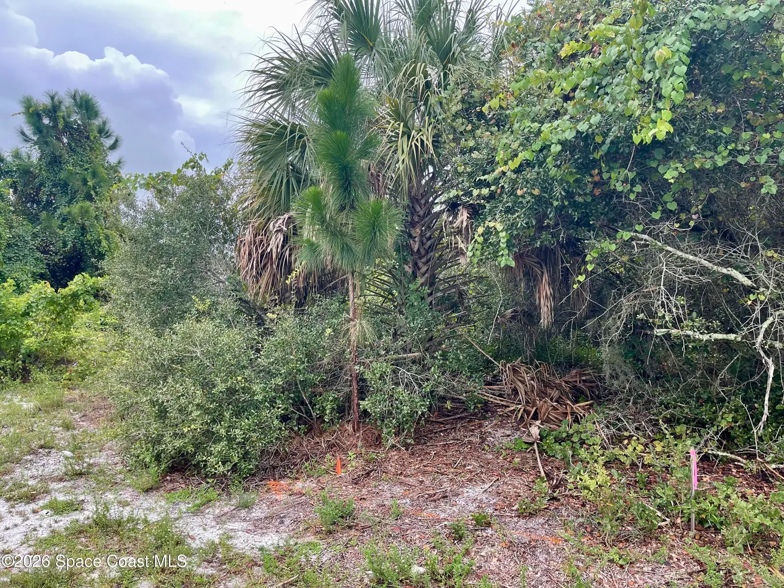 840 Andrew Street Se, Palm Bay, Fl 32909, FL