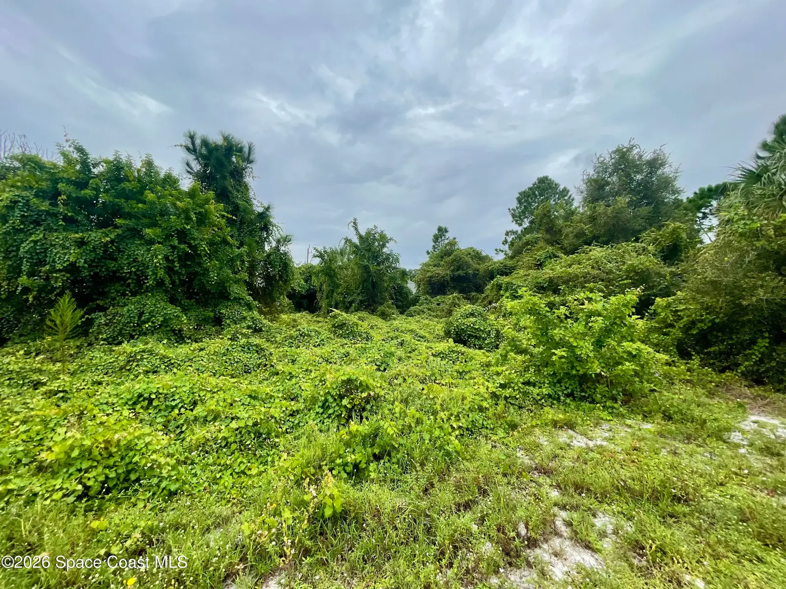 840 Andrew Street Se, Palm Bay, Fl 32909, FL
