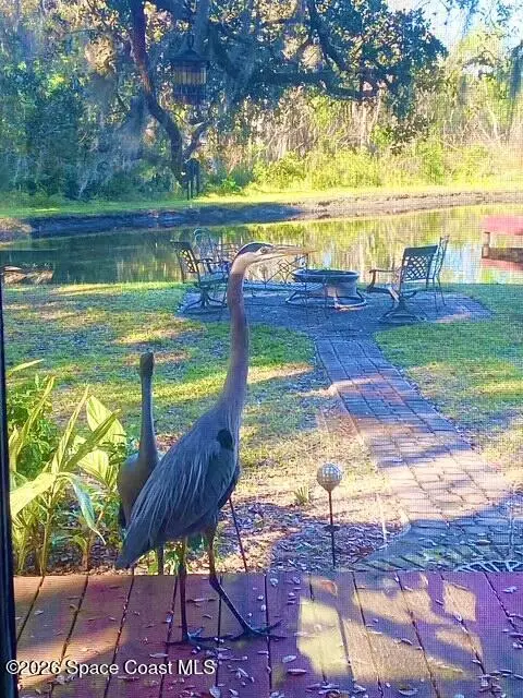 2619 Quail Trail, Titusville, Fl 32780, FL