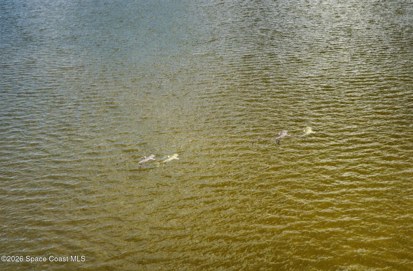 1465 S Harbor City Boulevard 901, Melbourne, Fl 32901, FL