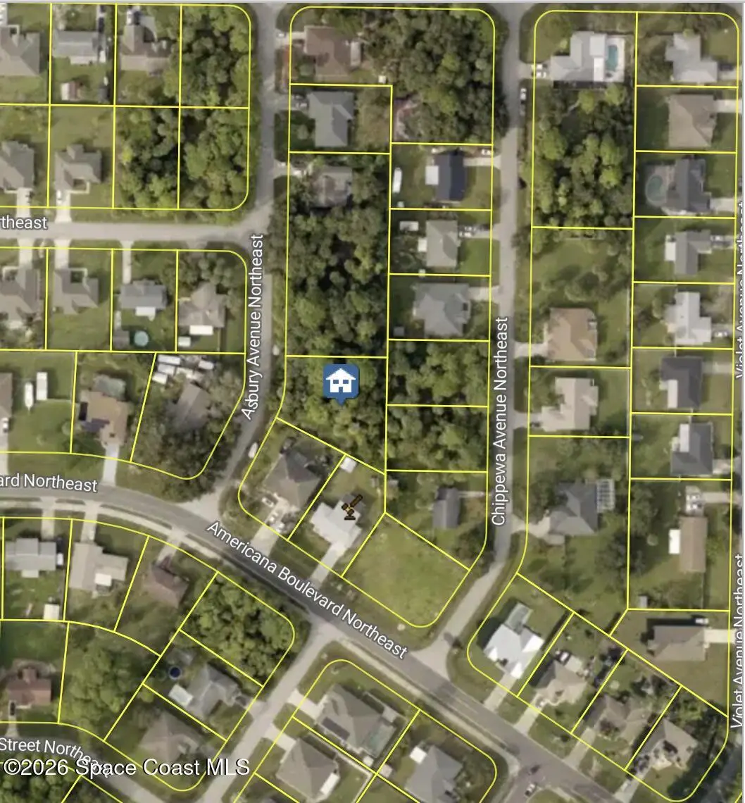 517 Asbury Avenue Ne, Palm Bay, Fl 32907, FL