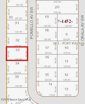 3366 Pomello Avenue Sw, Palm Bay, Fl 32908, FL