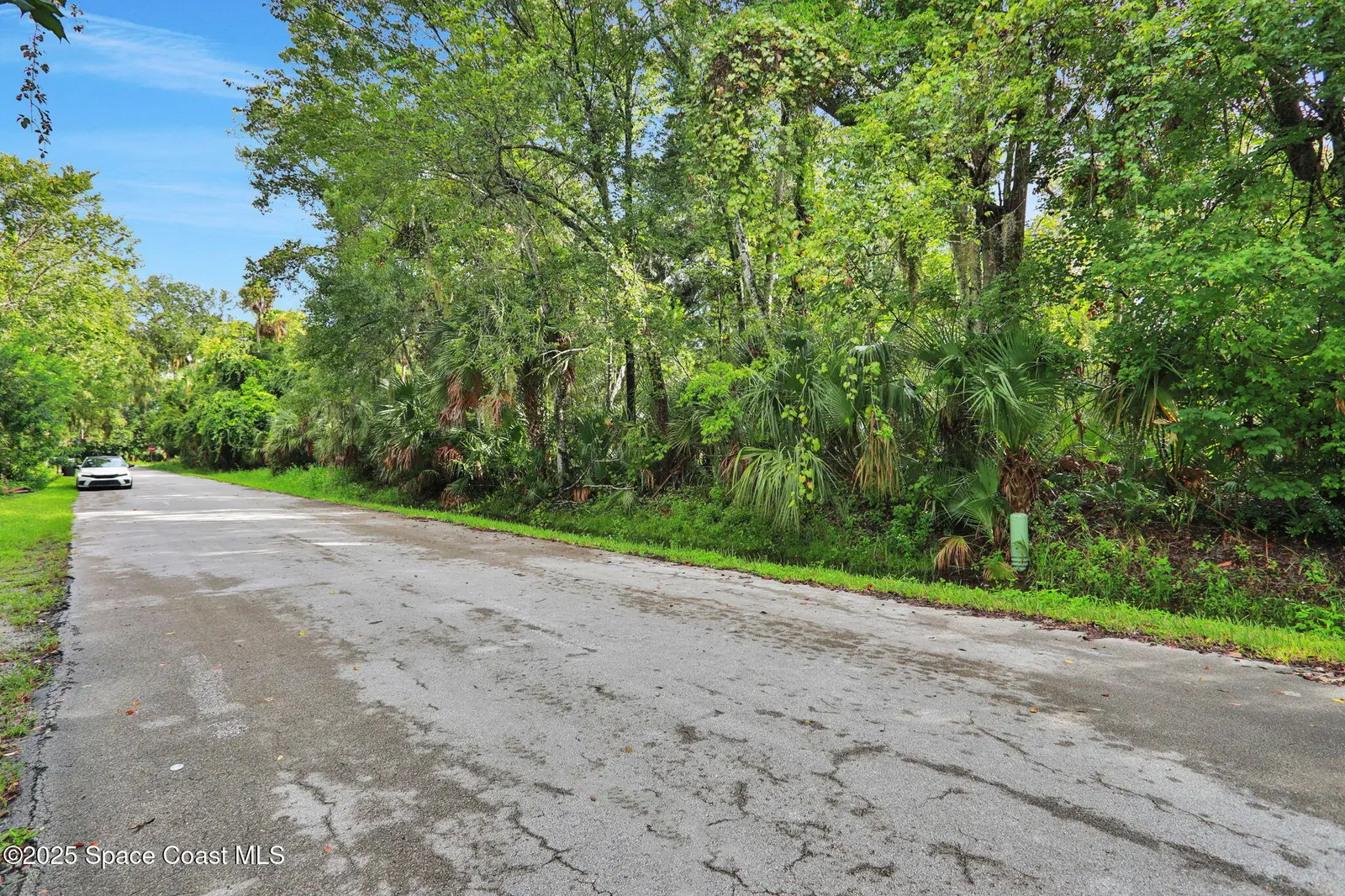 711 Tennessee Terrace, Ormond Beach, Fl 32174, FL