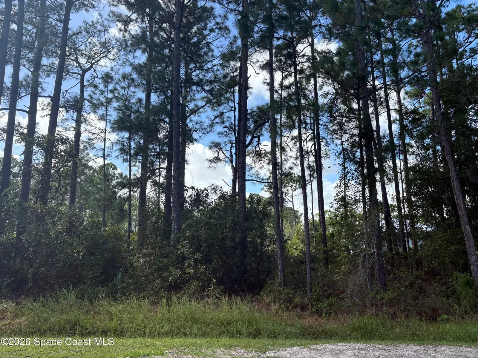 0000 Lett Lane, Malabar, Fl 32950, FL