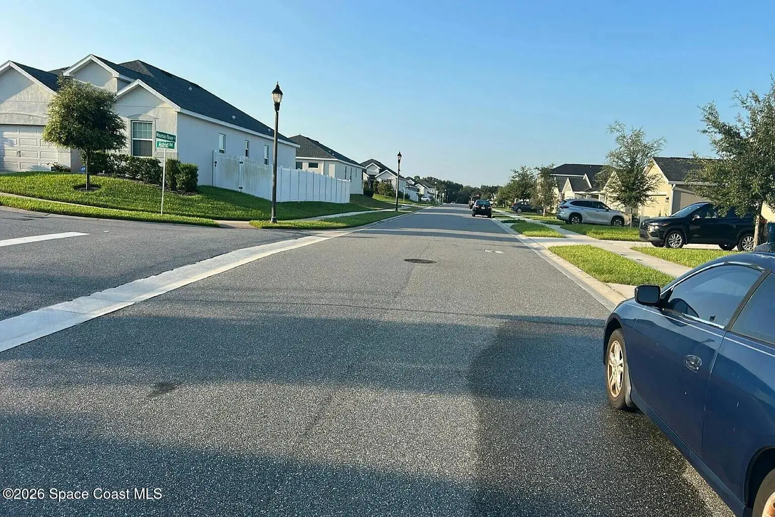 1159 Mountain Flower Lane, Davenport, Fl 33837, FL