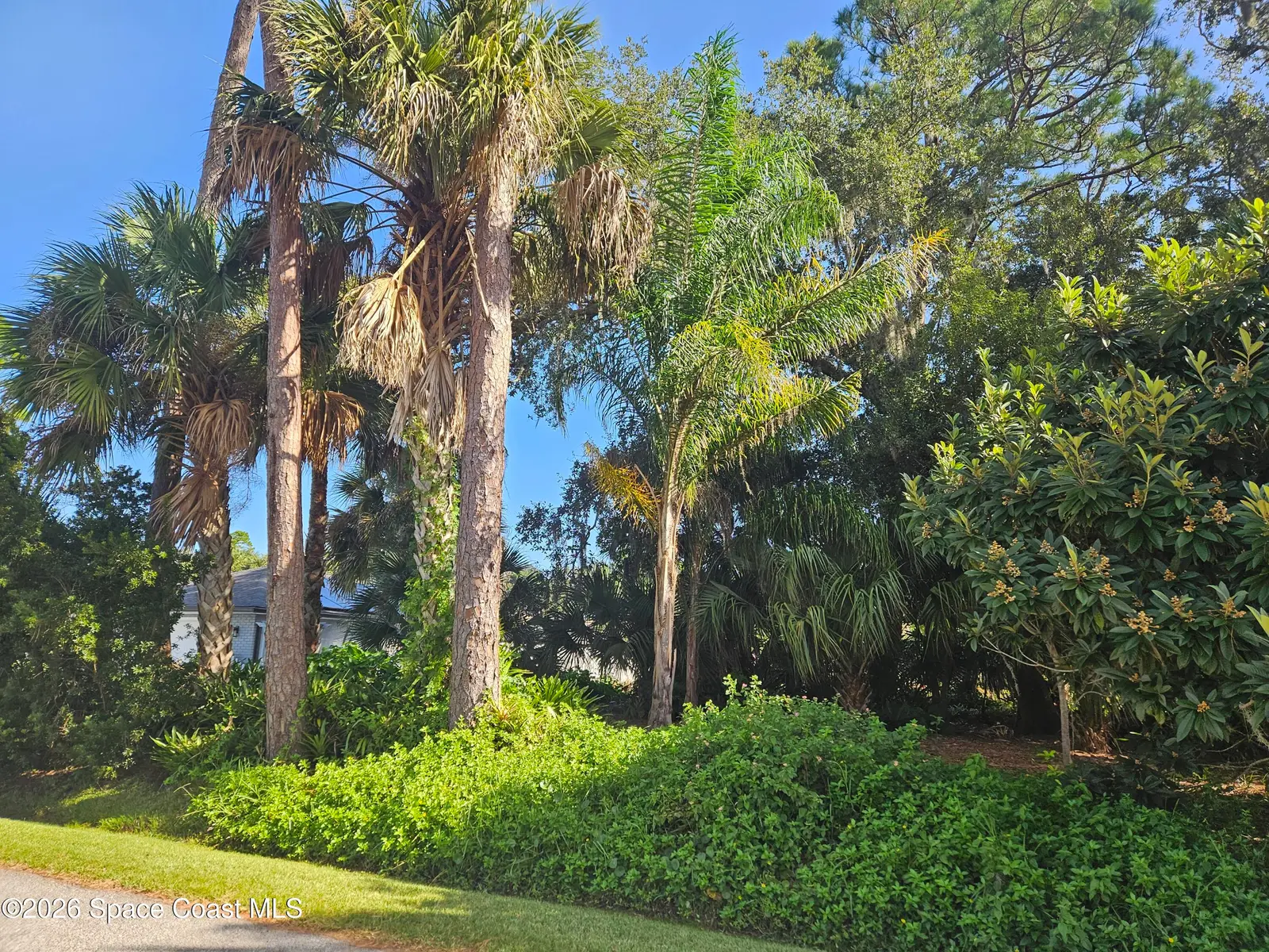 '0' Pine Tree Drive, Edgewater, Fl 32141, FL