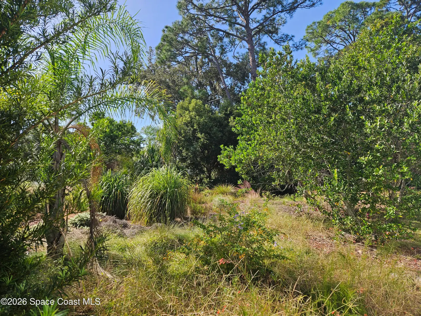 '0' Pine Tree Drive, Edgewater, Fl 32141, FL