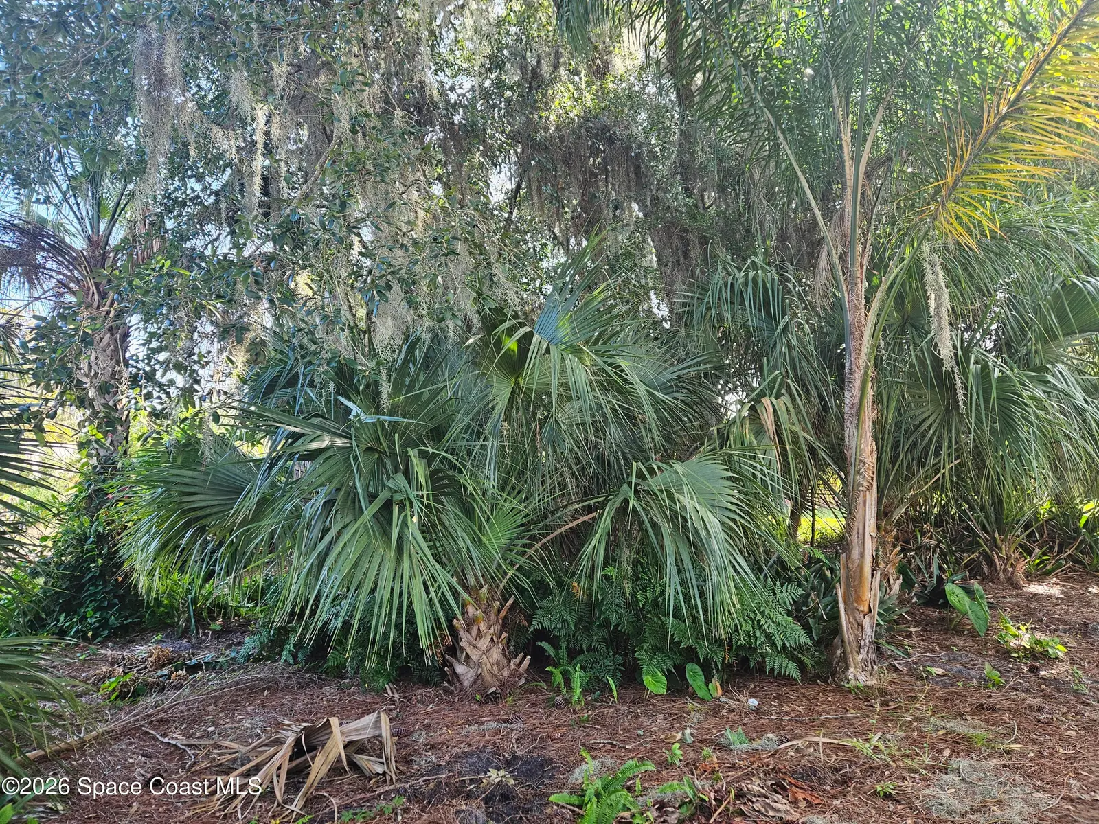 '0' Pine Tree Drive, Edgewater, Fl 32141, FL