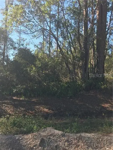 Hill Paper Ave, FL