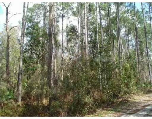 Zephyrhills, FL