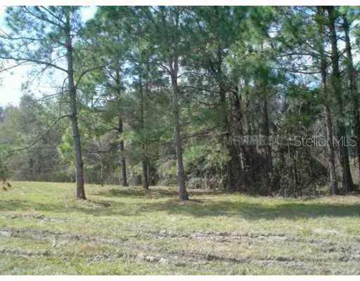 Zephyrhills, FL