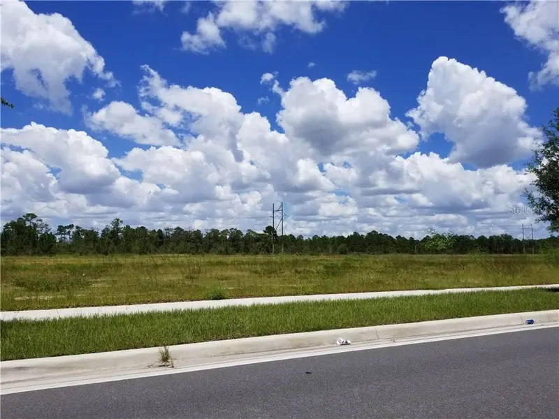 S Apopka Vineland, FL