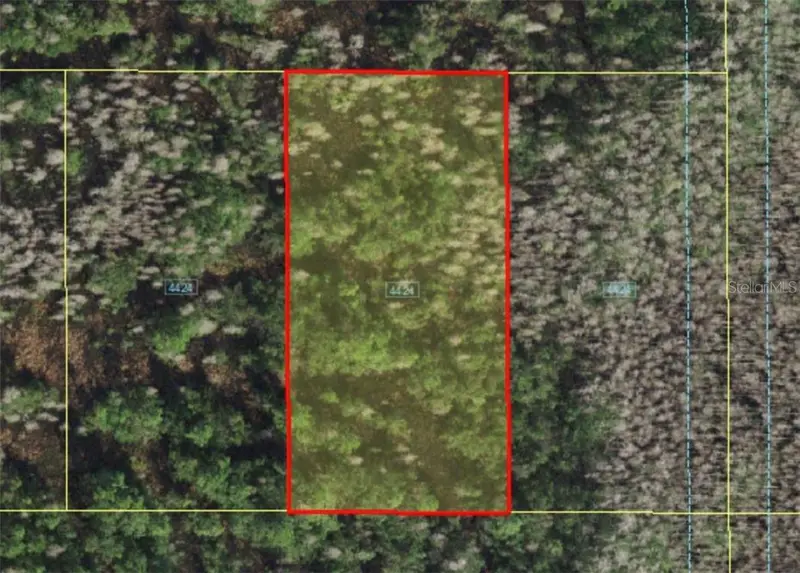 Holopaw Groves Rd, FL