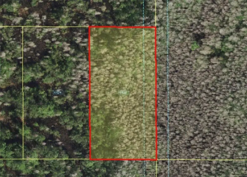 Holopaw Groves Rd, FL
