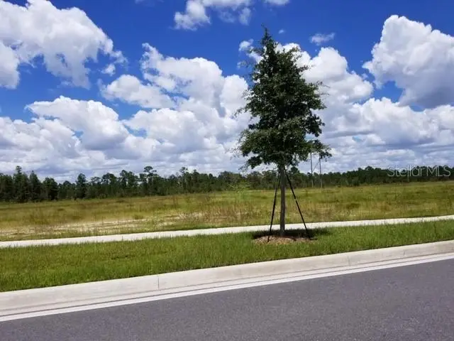 S Apopka Vineland Rd, FL