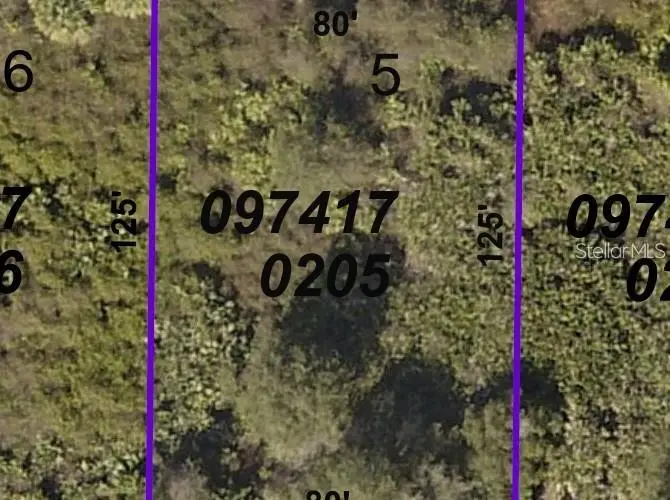 Bessemer Ave, FL