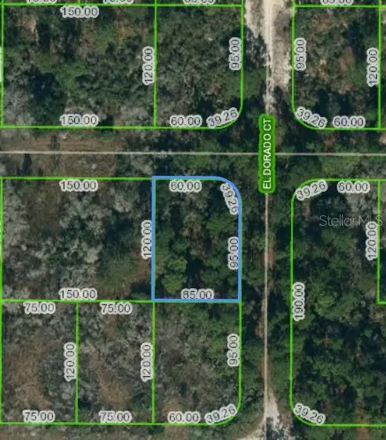251 Tannery Ln, FL