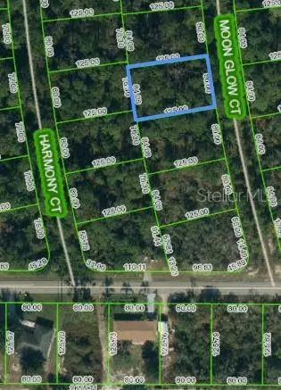 216 Moon Glow Ct, FL
