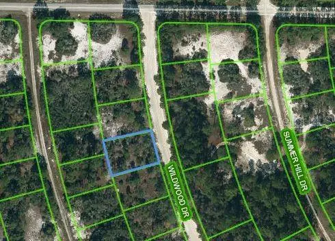 366 Wildwood Dr, FL