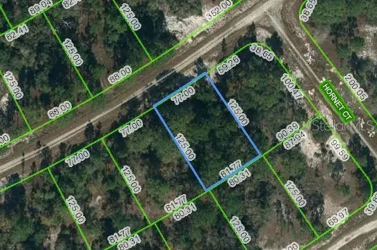 389 Showboat Ave, FL