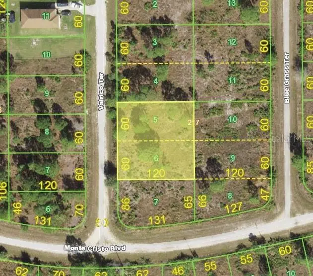 13288 Valrico Ter, FL