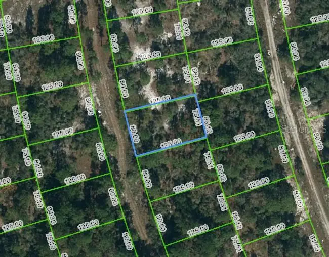217 Blue Horizon Dr, FL
