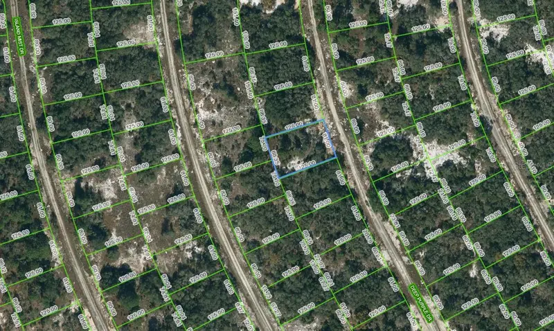218 Deep Purple Dr, FL