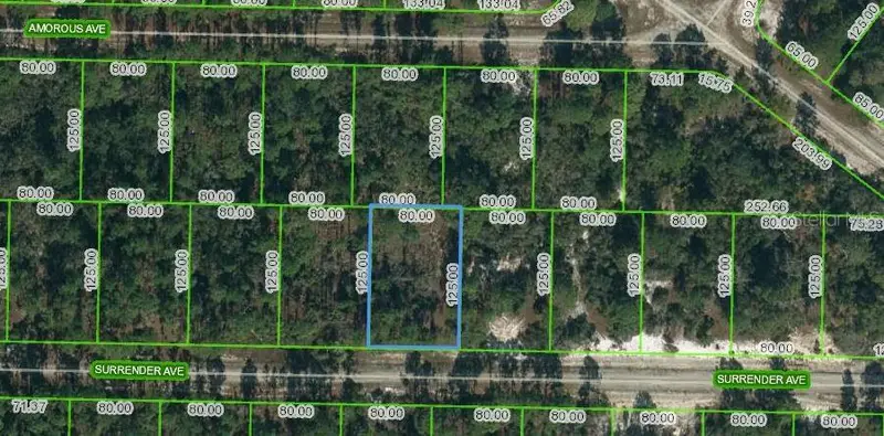 420 Surrender Ave, FL