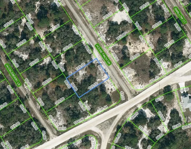 602 House Finch Dr, FL