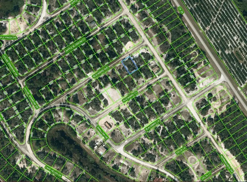 455 Blackbird Ave, FL