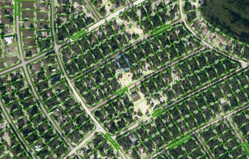 411 Allegheny Ave, FL