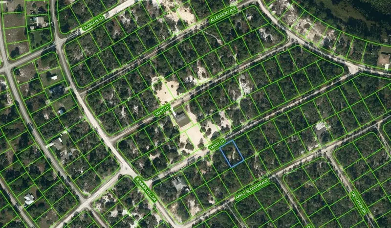 411 Tahiti Ln, FL