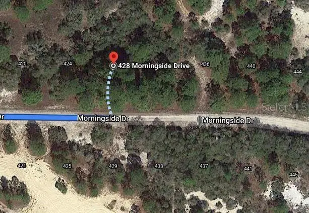 428 Morningside Dr, FL